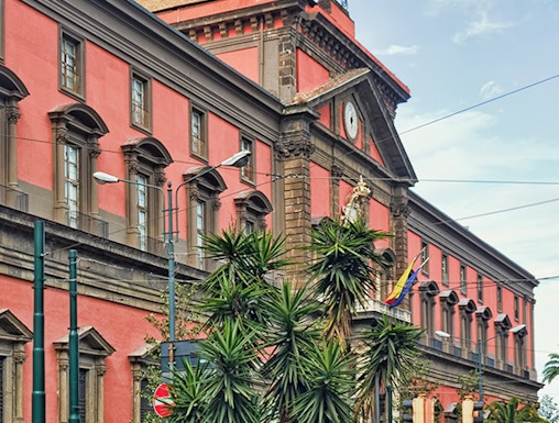 Naples National Archaeological Museum exterior with palm trees and street view.