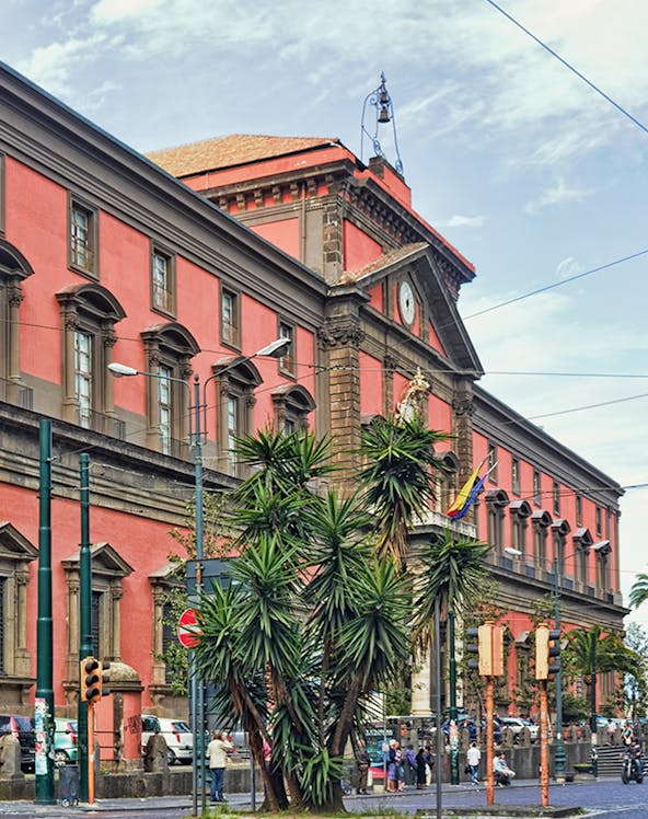 Naples National Archaeological Museum exterior with palm trees and street view.