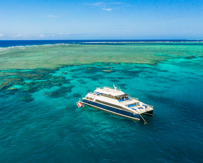Port Douglas to Great Barrier Reef Cruise with Guided Snorkel and Lunch