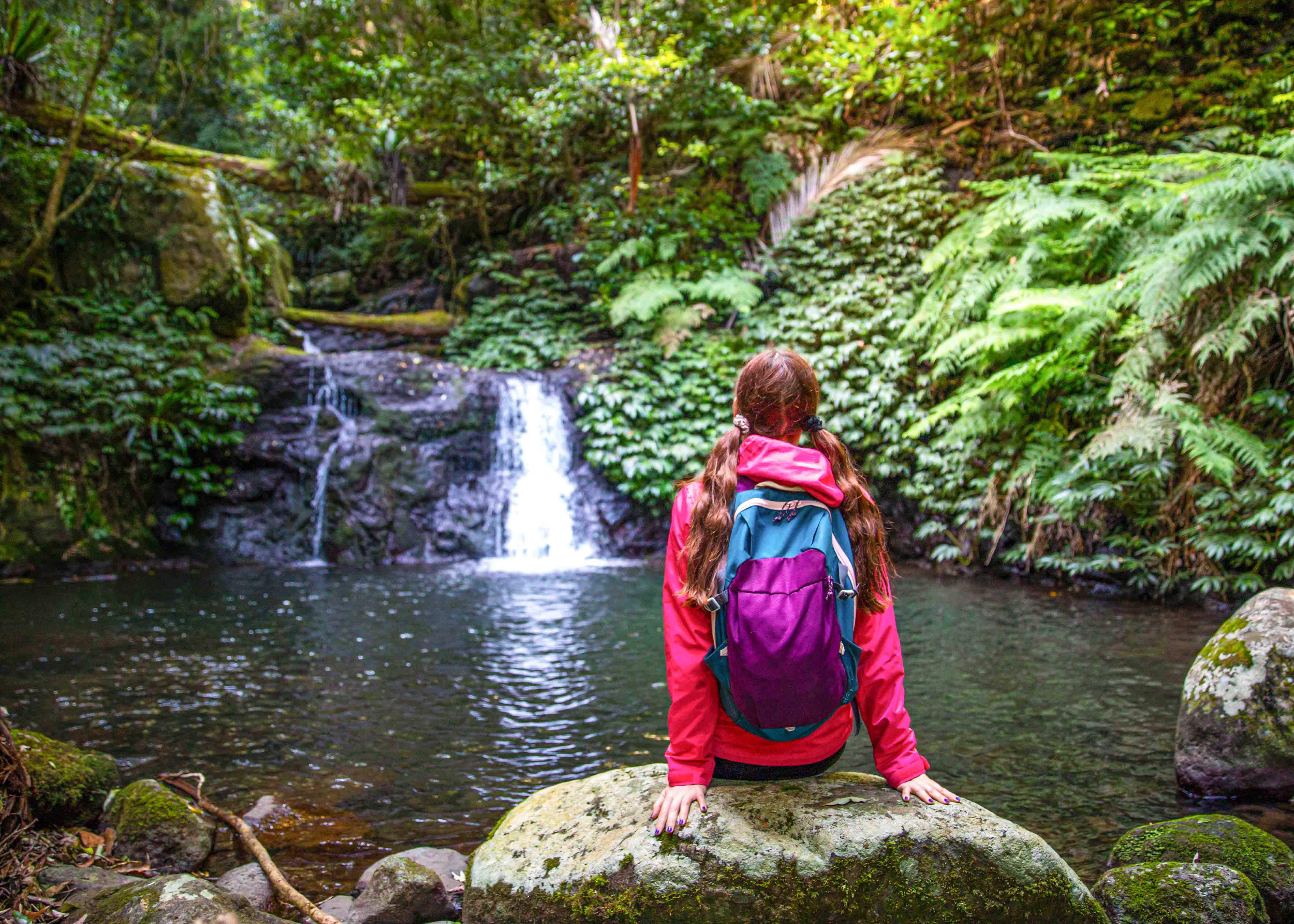 Things to do in Gold Coast