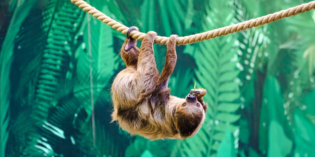 Edinburgh Zoo