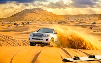 safári no deserto de dubai com passeio em 4x4 nas dunas, passeio de camelo, jantar com churrasco, shows ao vivo e traslados do hotel-4