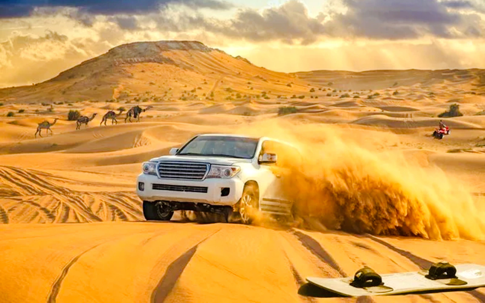 Dubai Desert Safari with 4x4 Dune Bashing, Camel Ride, BBQ Dinner, Live Shows and Hotel Transfers