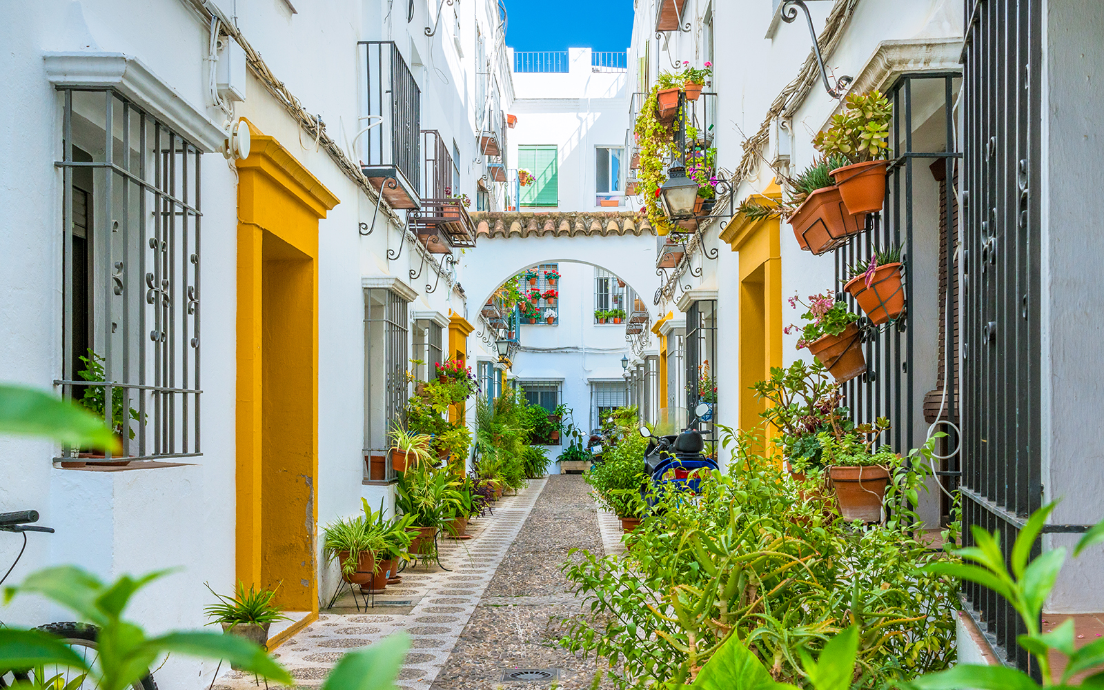 Narrow street in Cordoba's Jewish Quarter with potted plants and traditional architecture.