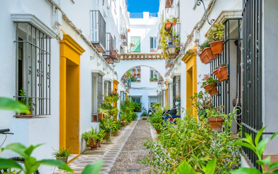Narrow street in Cordoba's Jewish Quarter with potted plants and traditional architecture.