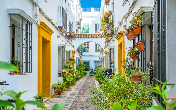 Narrow street in Cordoba's Jewish Quarter with potted plants and traditional architecture.