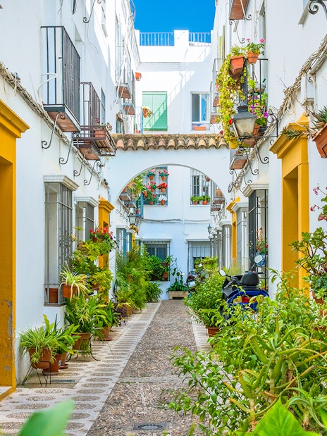 Narrow street in Cordoba's Jewish Quarter with potted plants and traditional architecture.
