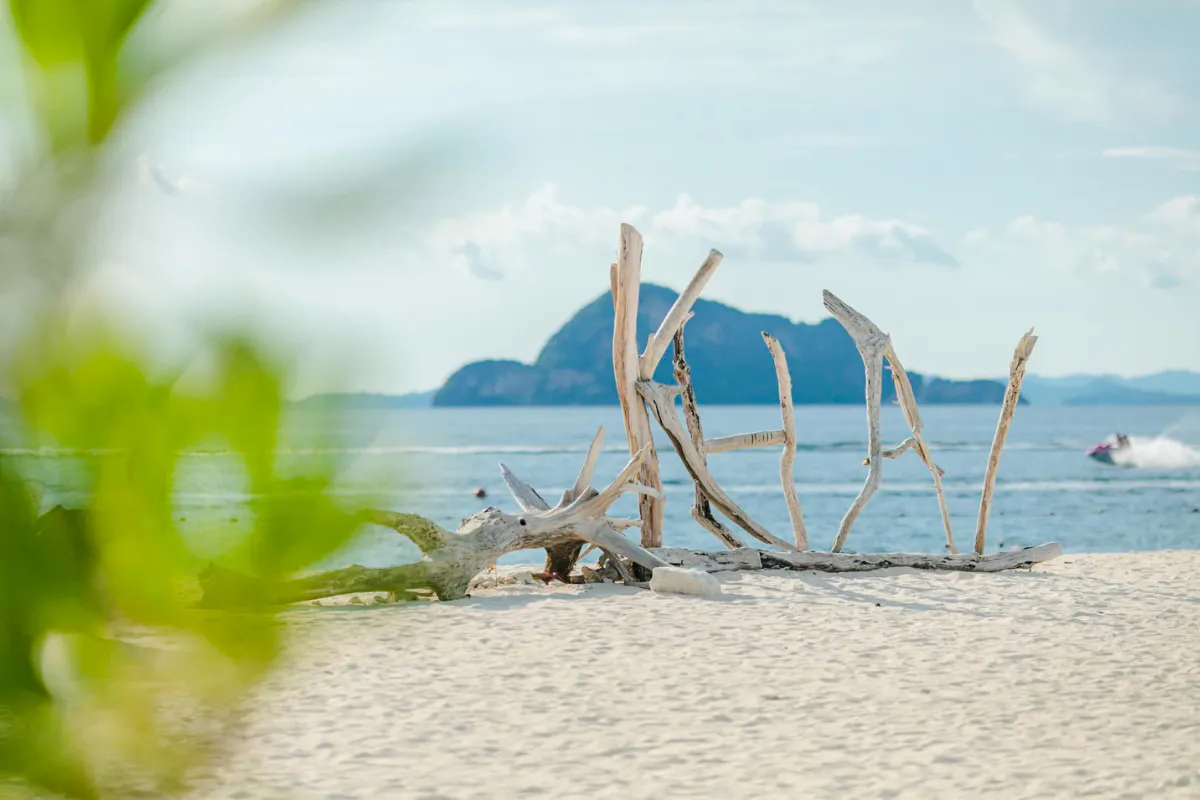 Driftwood on sandy beach with distant view of Khai Islands, Phuket.