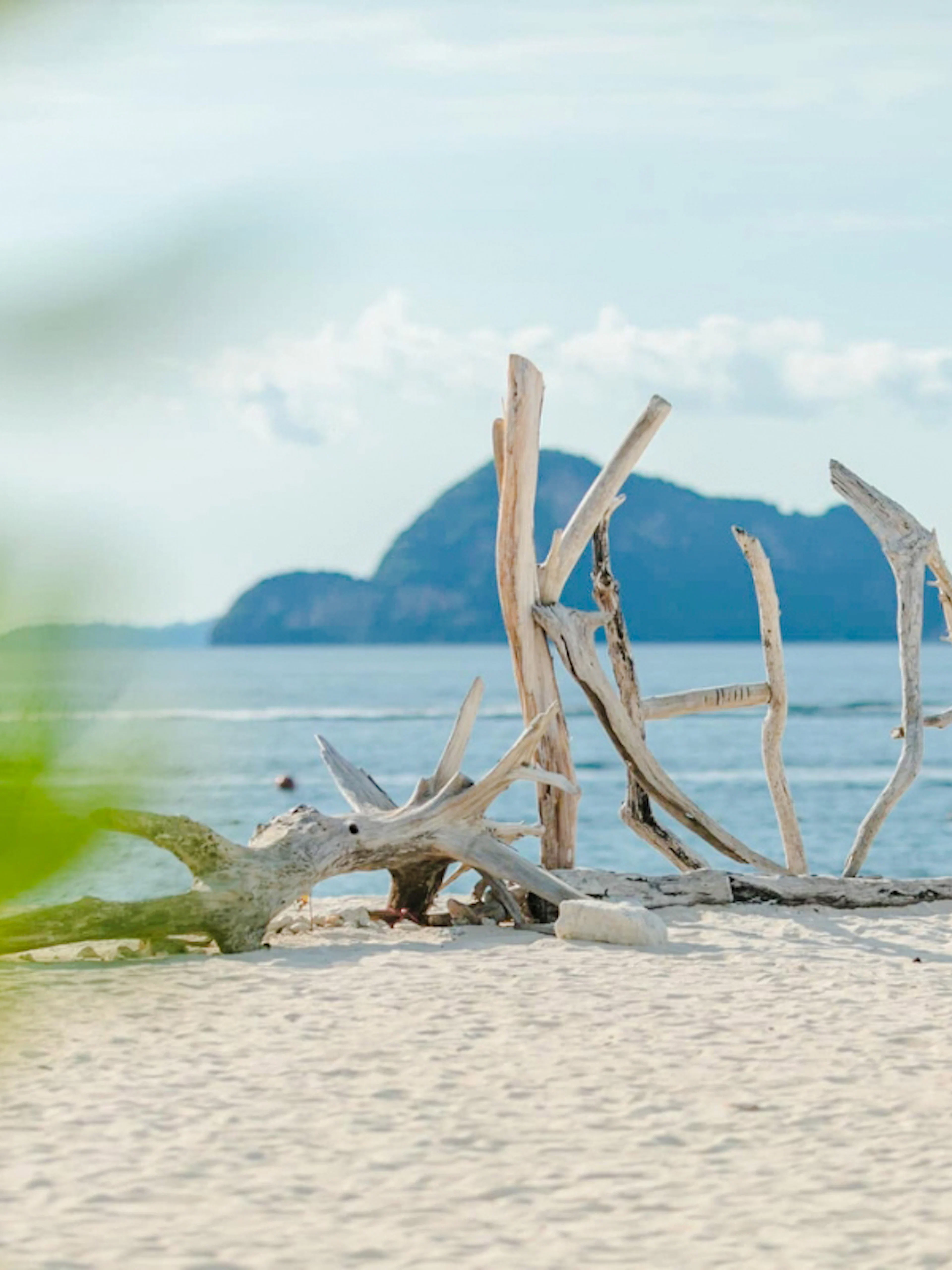 Driftwood on sandy beach with distant view of Khai Islands, Phuket.