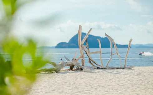 Driftwood on sandy beach with distant view of Khai Islands, Phuket.