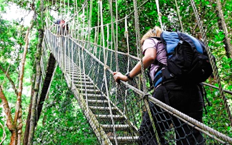 desde kuala lumpur: excursión privada de un día al parque nacional de taman negara con paseo por las copas de los árboles-3