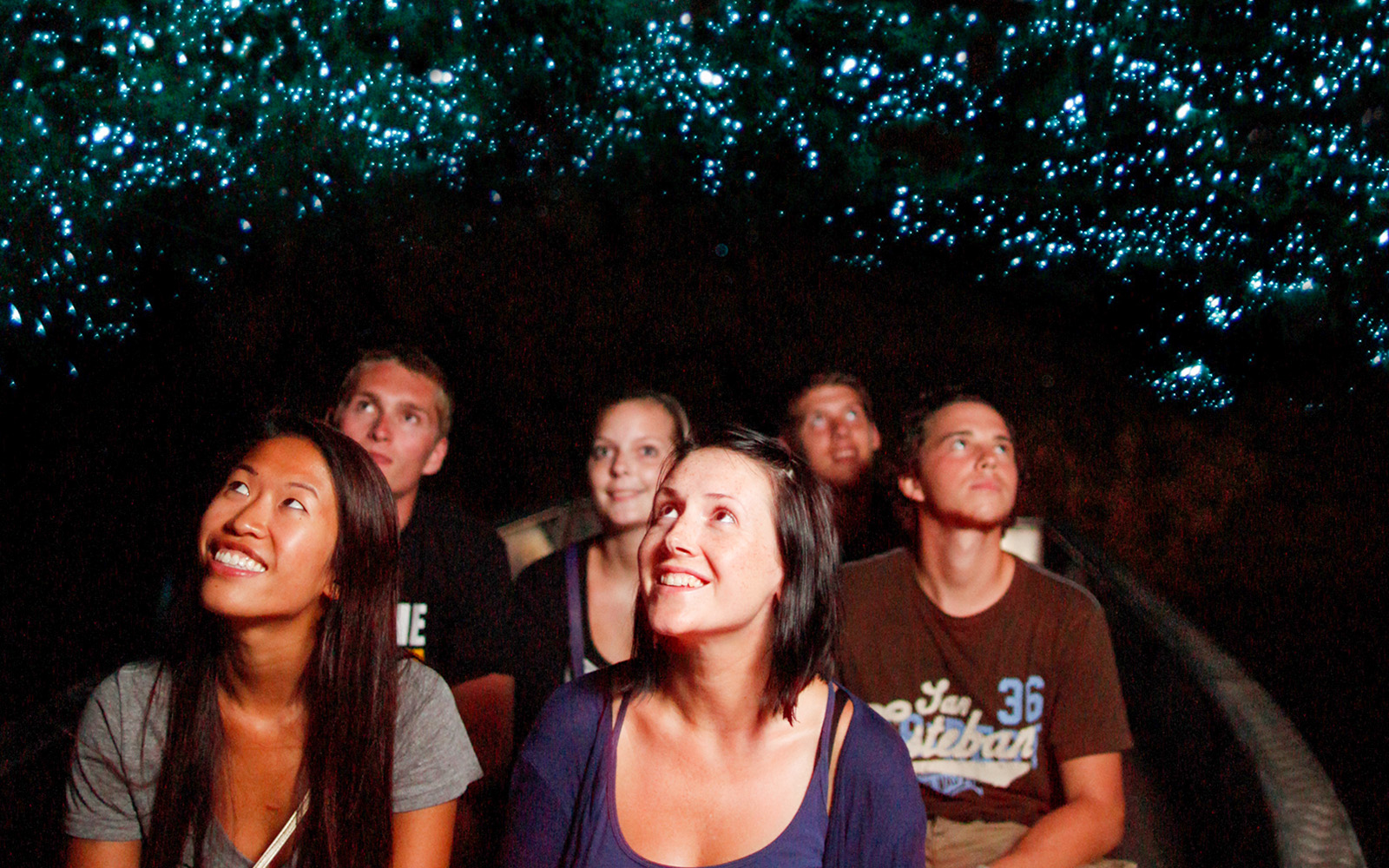 Visitors on a boat tour admire glowworms illuminating the Waitomo Caves ceiling.