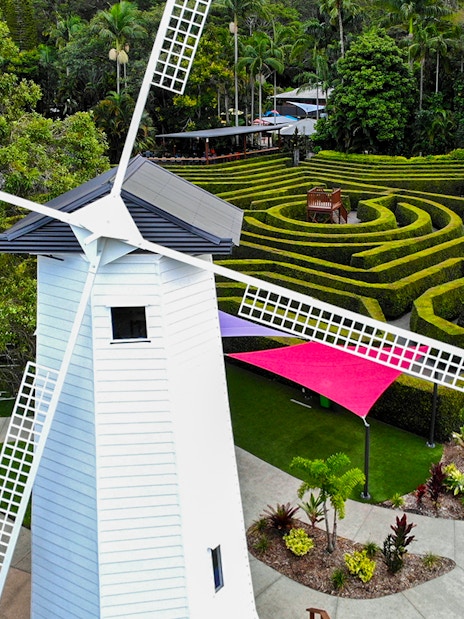 Windmill and hedge maze at Amaze World, surrounded by lush greenery.