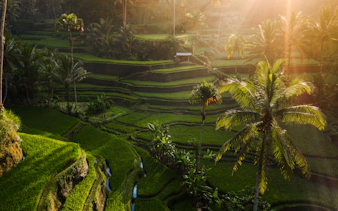 soukromá prohlídka míst na bali známých z instagramu-2