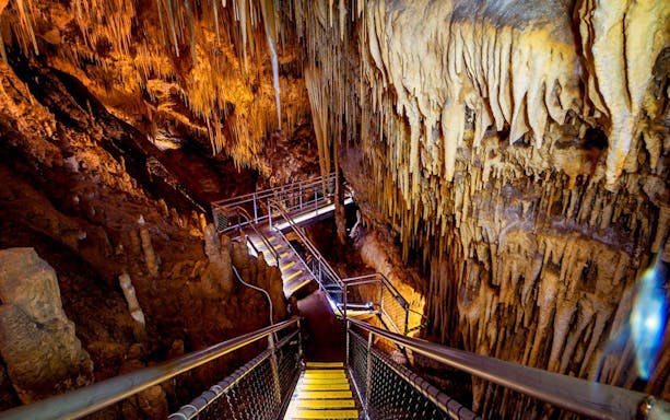 hastings caves, tahune airwalk and the huon tasting trail-4