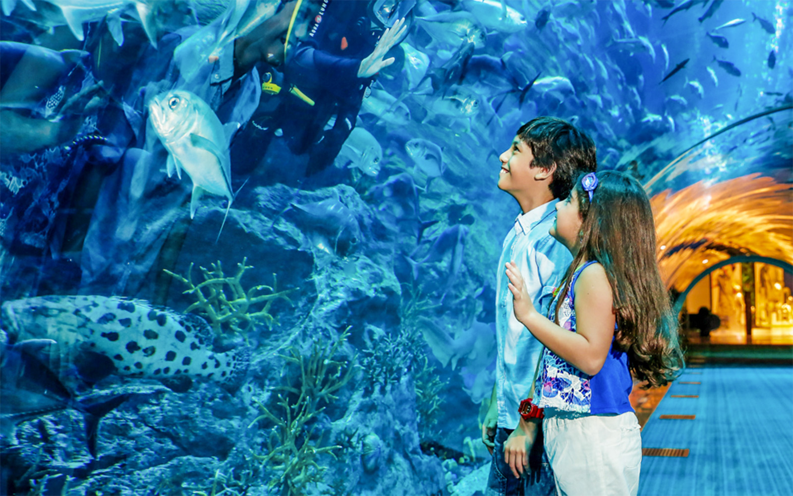 Visitors observing marine life at Dubai Aquarium in Dubai Mall.