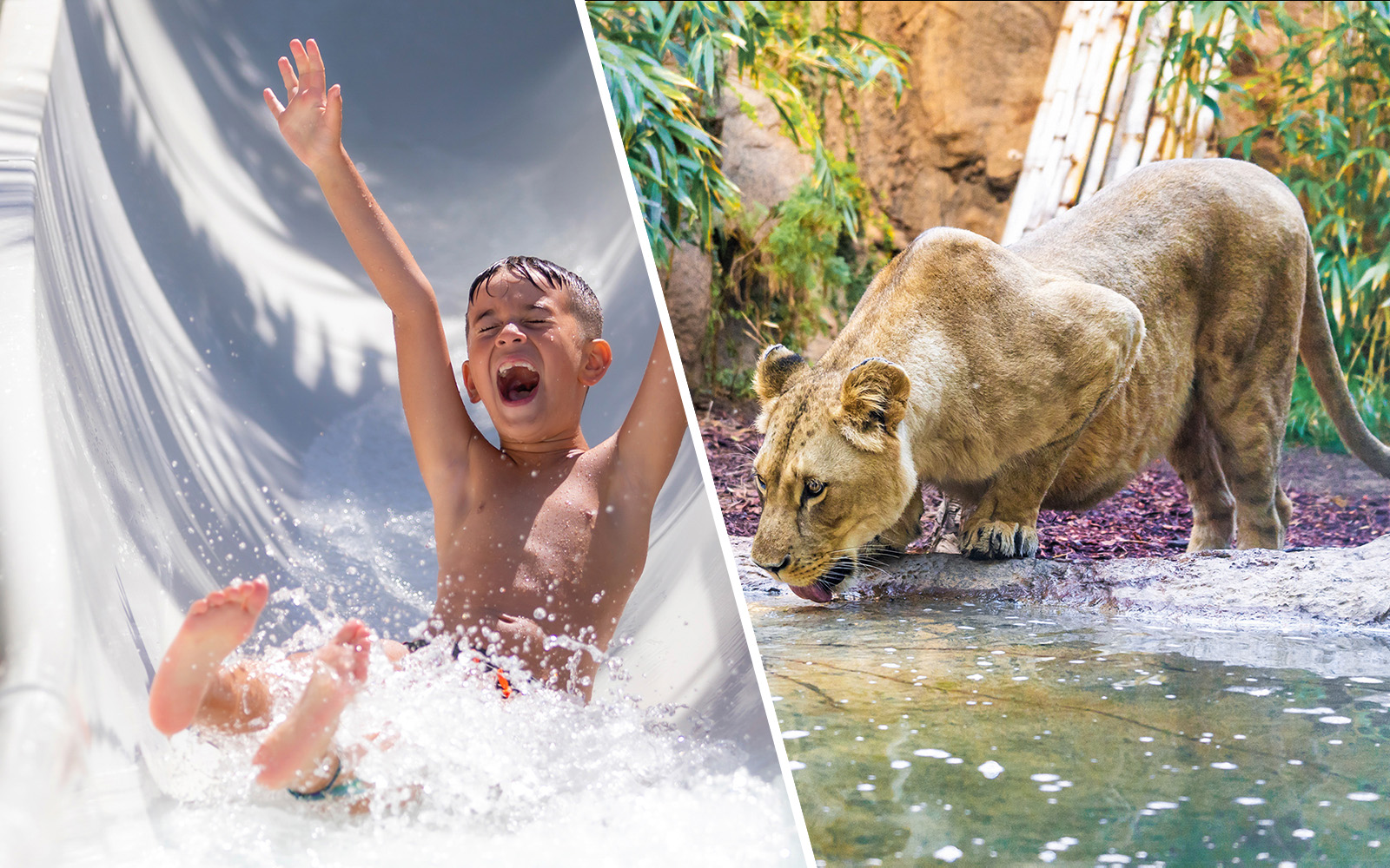 Biglietti Siam Park combo