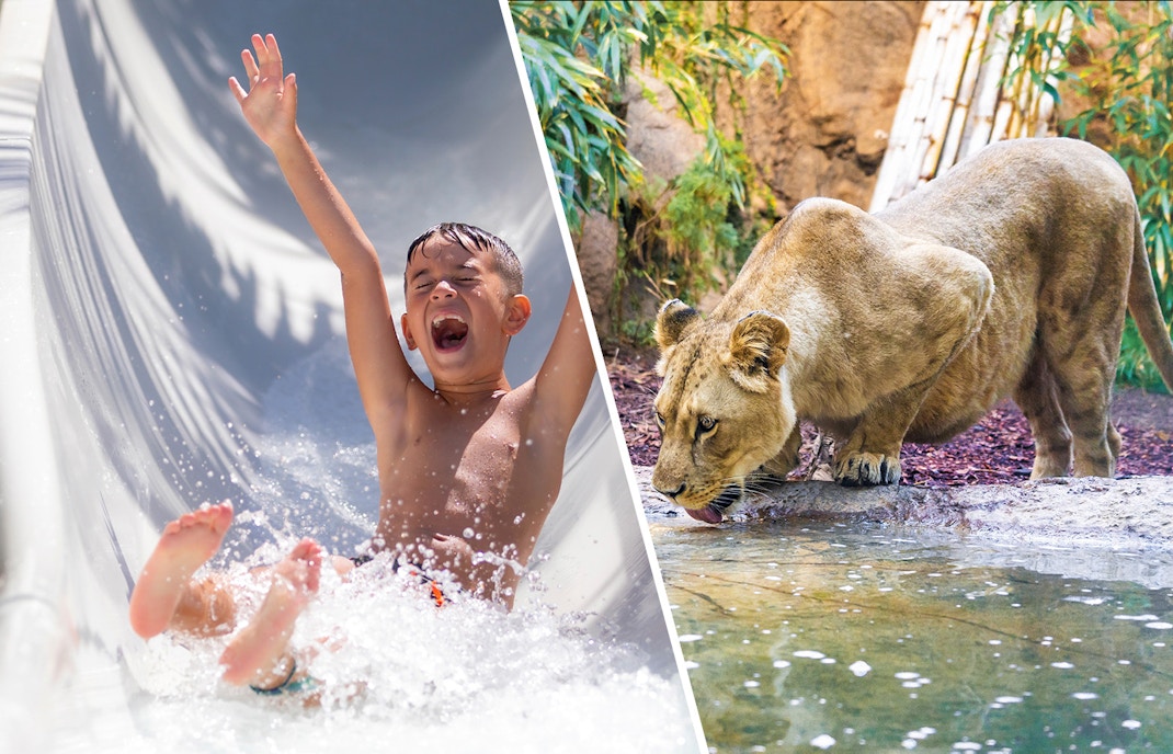 Biglietti Siam Park combo