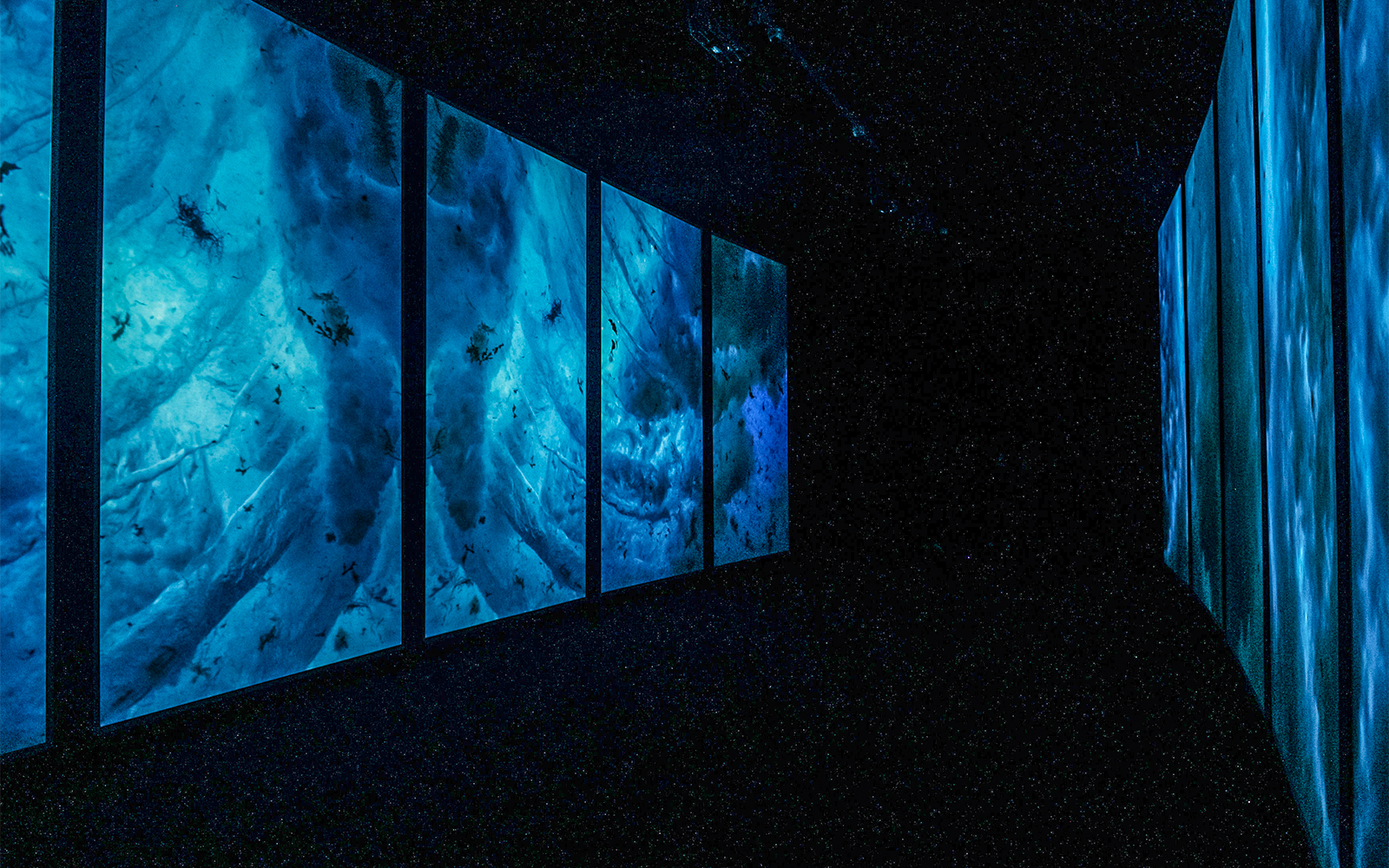 Lisbon Oceanarium interior with large blue underwater displays.