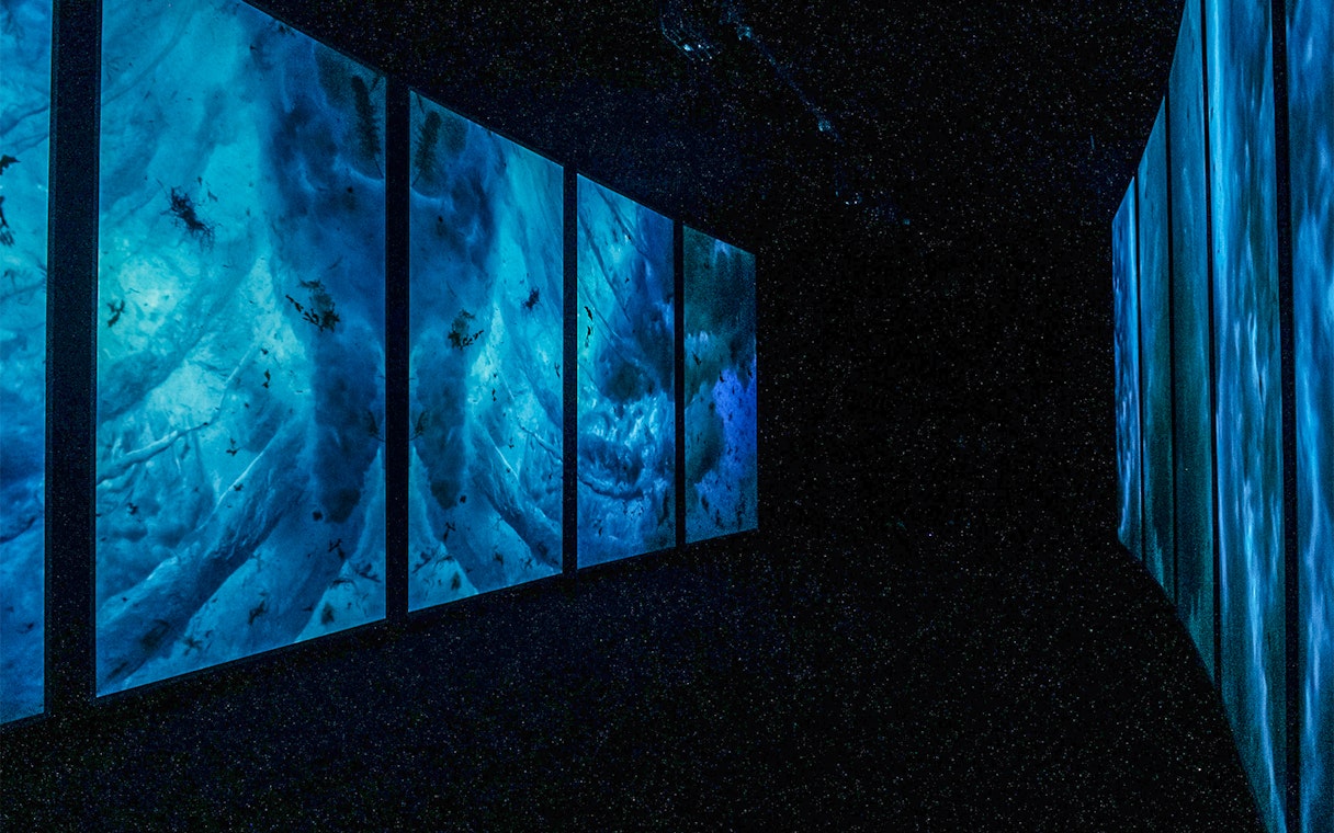 Lisbon Oceanarium interior with large blue underwater displays.