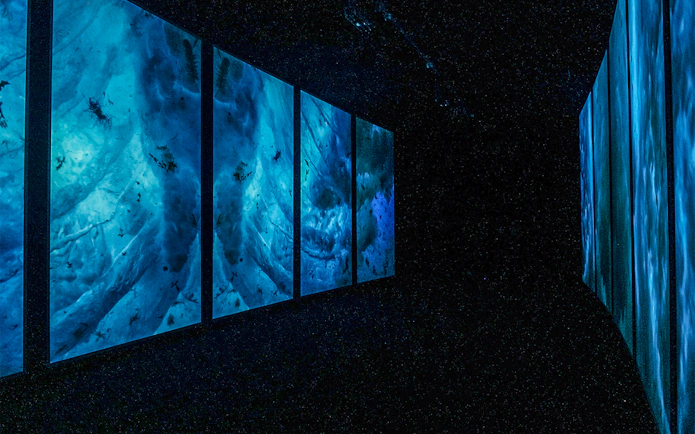 Lisbon Oceanarium interior with large blue underwater displays.