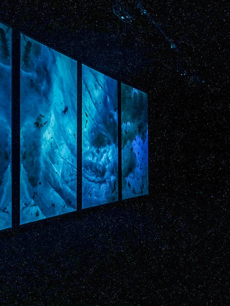 Lisbon Oceanarium interior with large blue underwater displays.