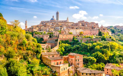 Siena Private Walking Tour with a Local Guide
