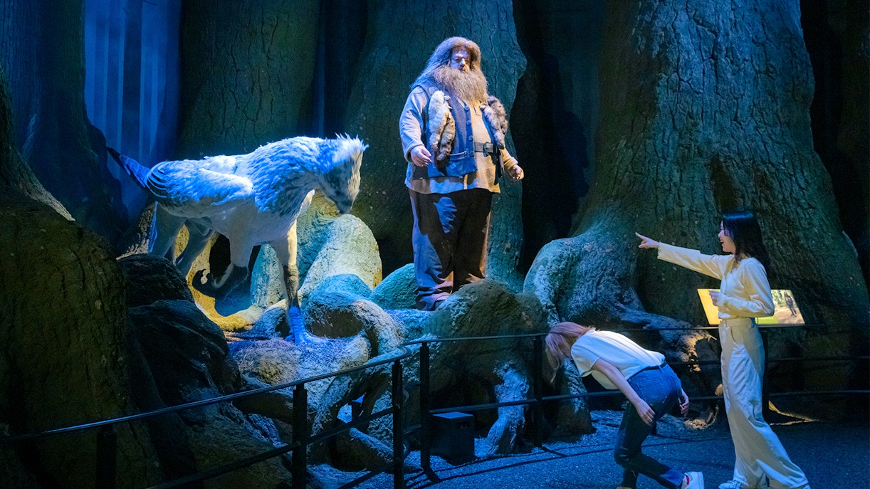 forbidden forest harry potter studio