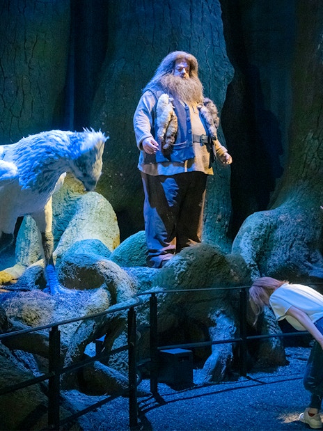 Hippogriff and guide in Forbidden Forest at Warner Bros. Studio Tour Tokyo.