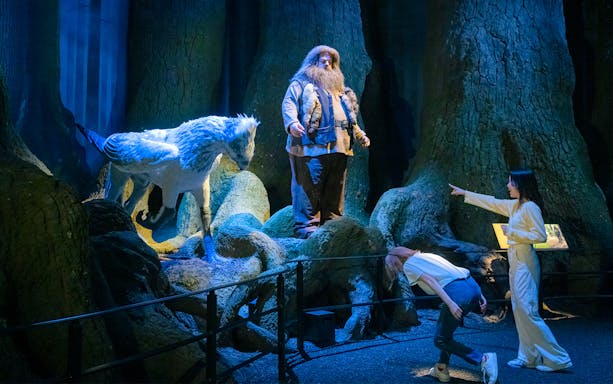 Hippogriff and guide in Forbidden Forest at Warner Bros. Studio Tour Tokyo.