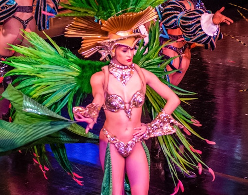 Performer in elaborate costume at Moulin Rouge show, Paris.