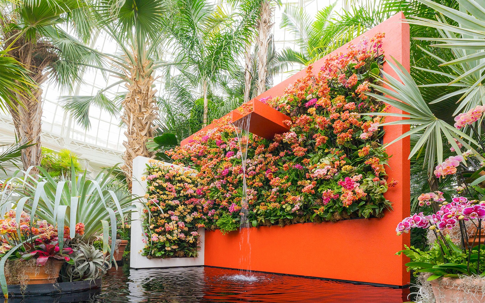 Vertical garden with colorful orchids and water feature at The Orchid Show: Mexican Modernism, NYBG.