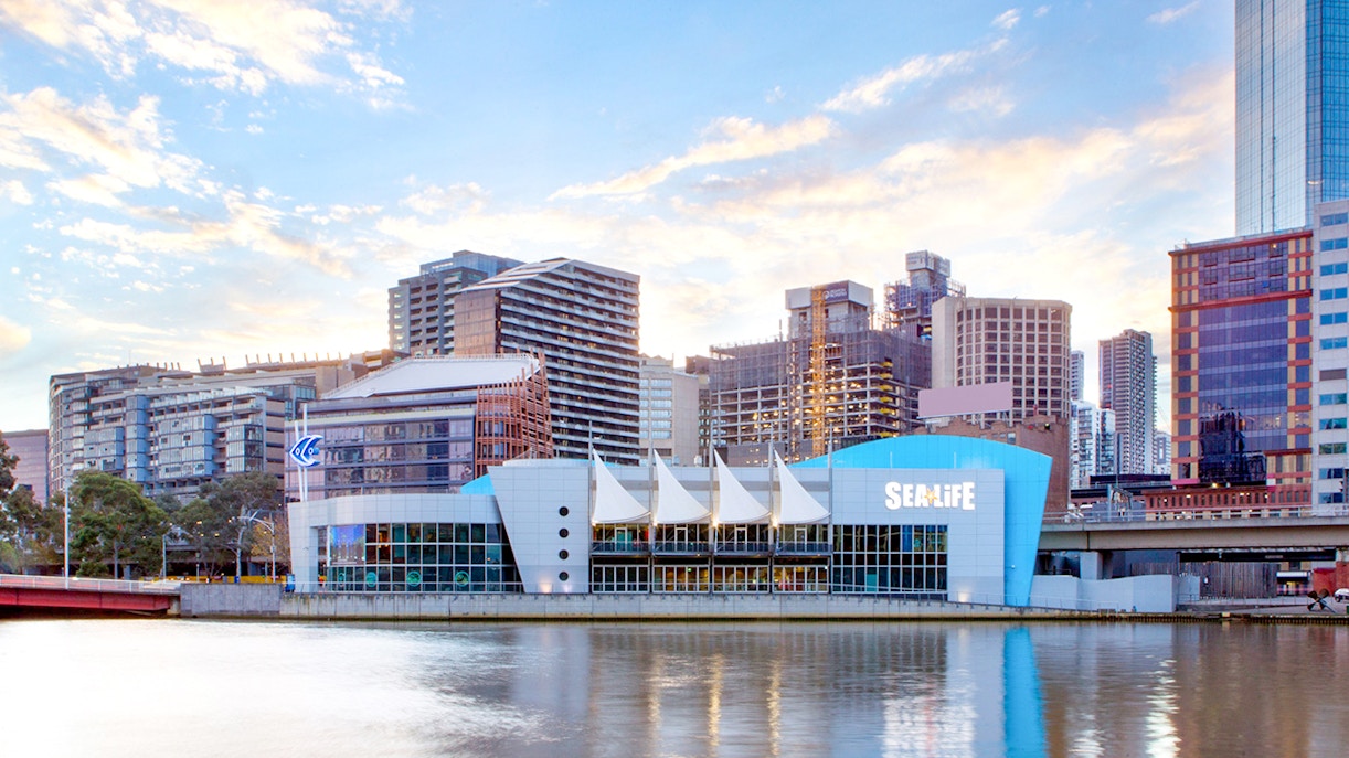 Sea Life Melbourne