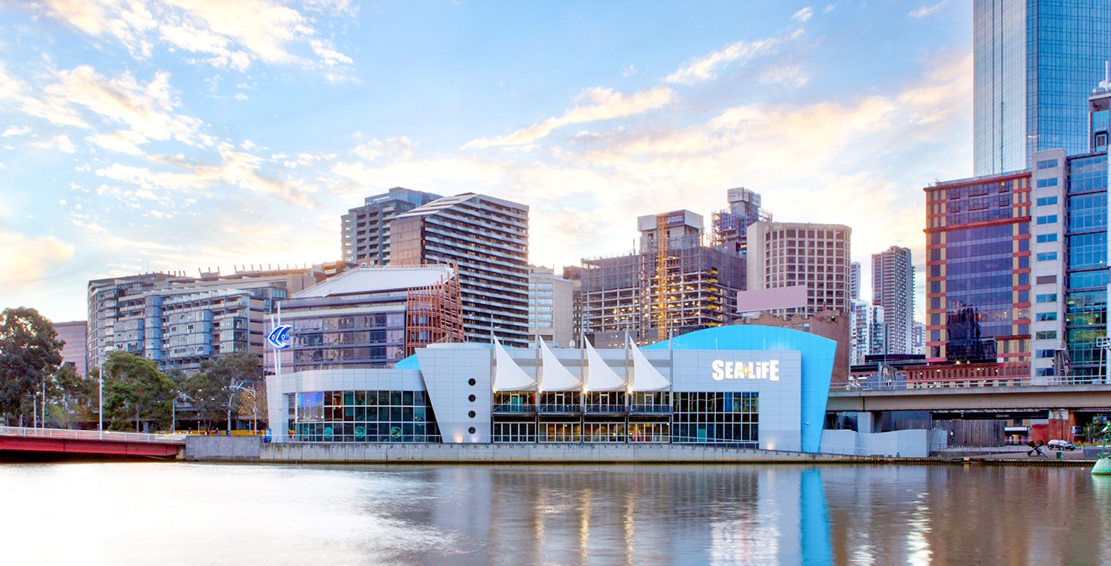 Everything you need to know about visiting SEA LIFE Melbourne