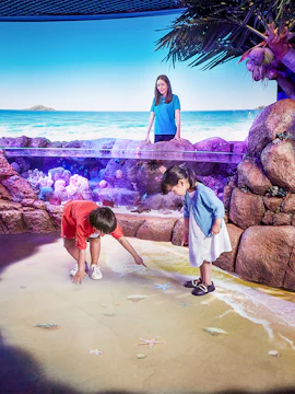 Children exploring interactive sea life exhibit at Sea Life Bangkok.