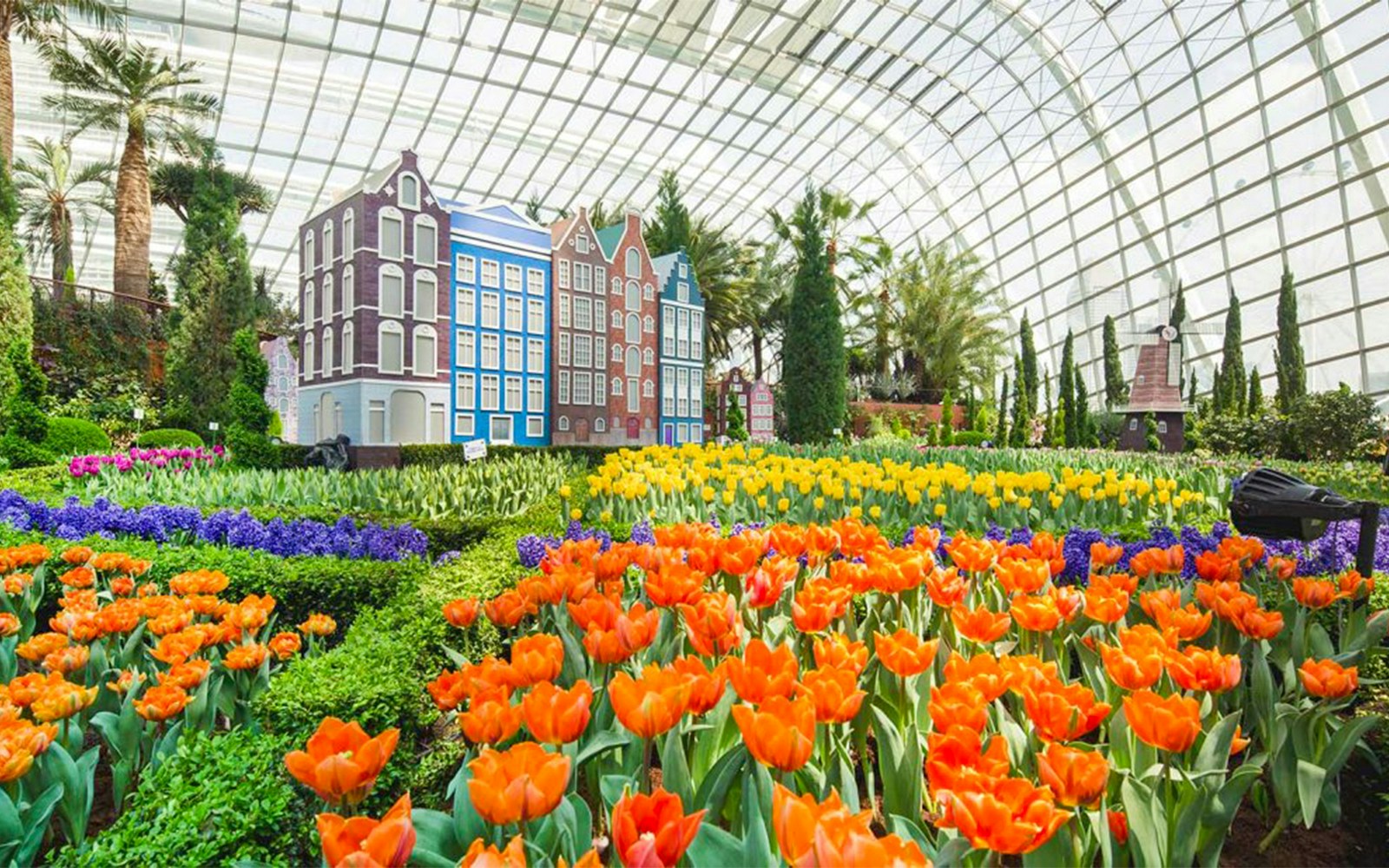 Flower fields at Gardens by the Bay