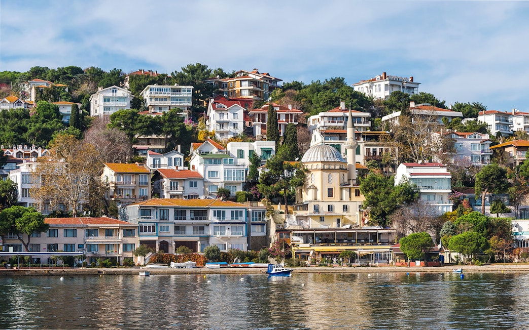 Panorama of Burgazada island with hillside houses and a mosque, Princes' Islands, Istanbul.