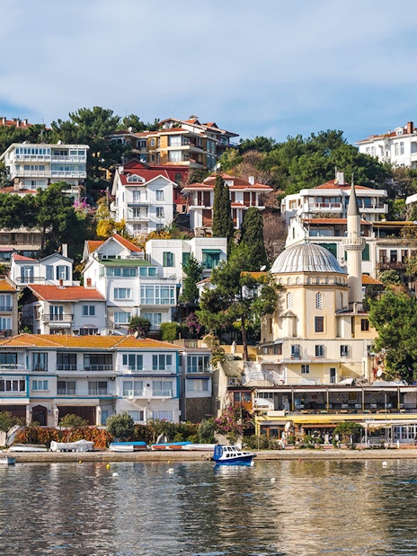 Panorama of Burgazada island with hillside houses and a mosque, Princes' Islands, Istanbul.