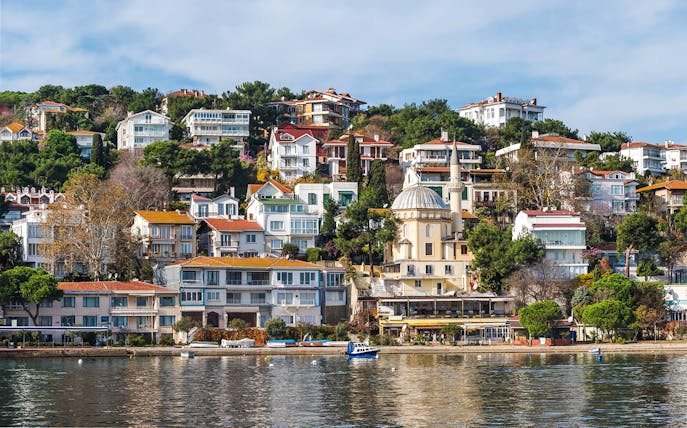 Panorama of Burgazada island with hillside houses and a mosque, Princes' Islands, Istanbul.
