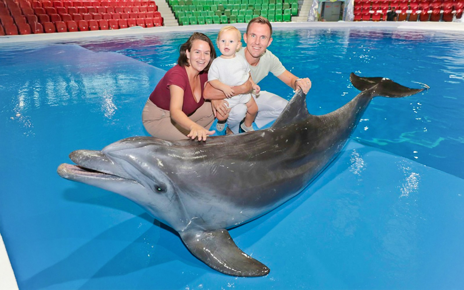 A couple touching a dolphin during the meet and greet event