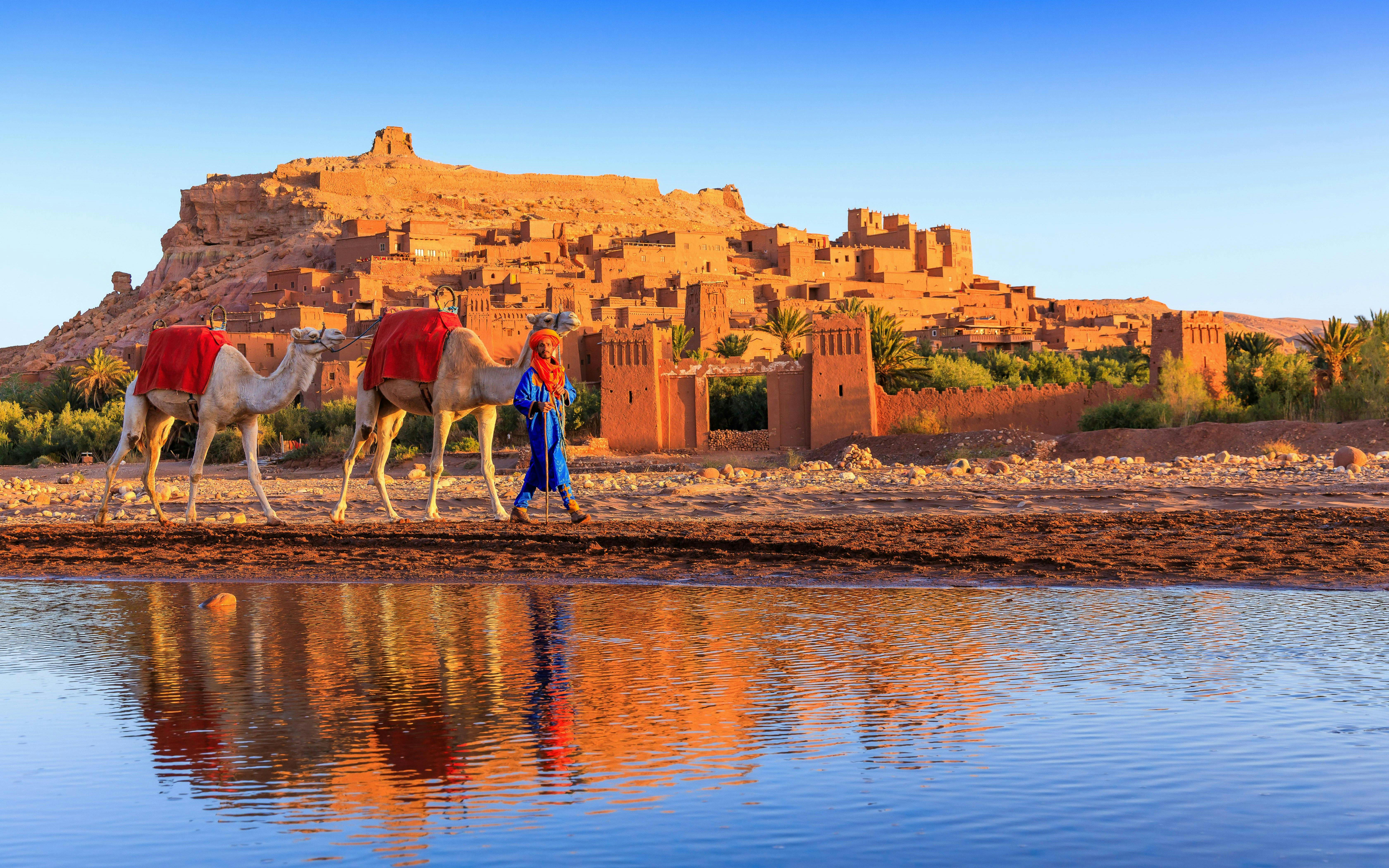 Person leading camels in front of Ait Benhaddou, Morocco.