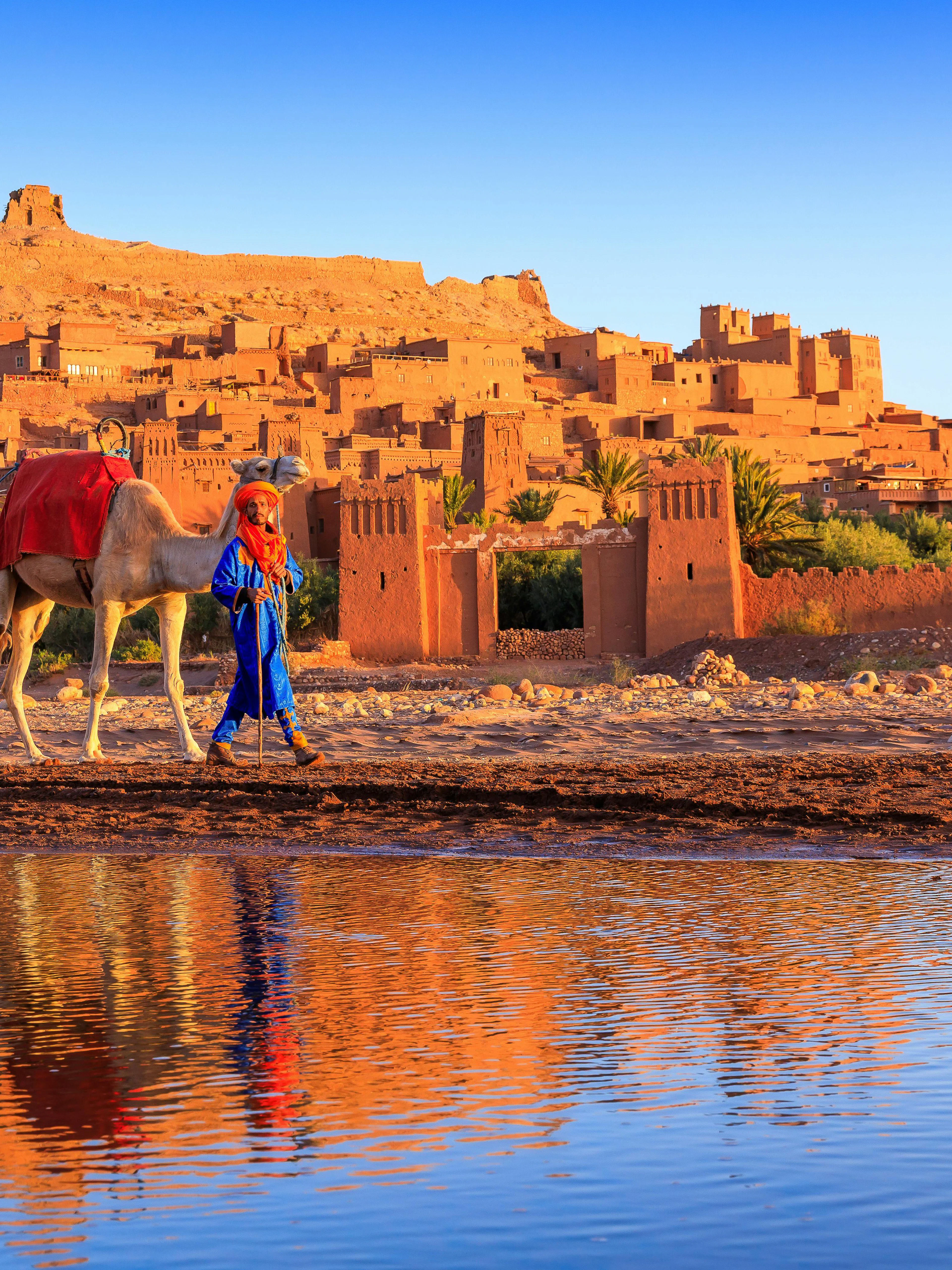 Person leading camels in front of Ait Benhaddou, Morocco.