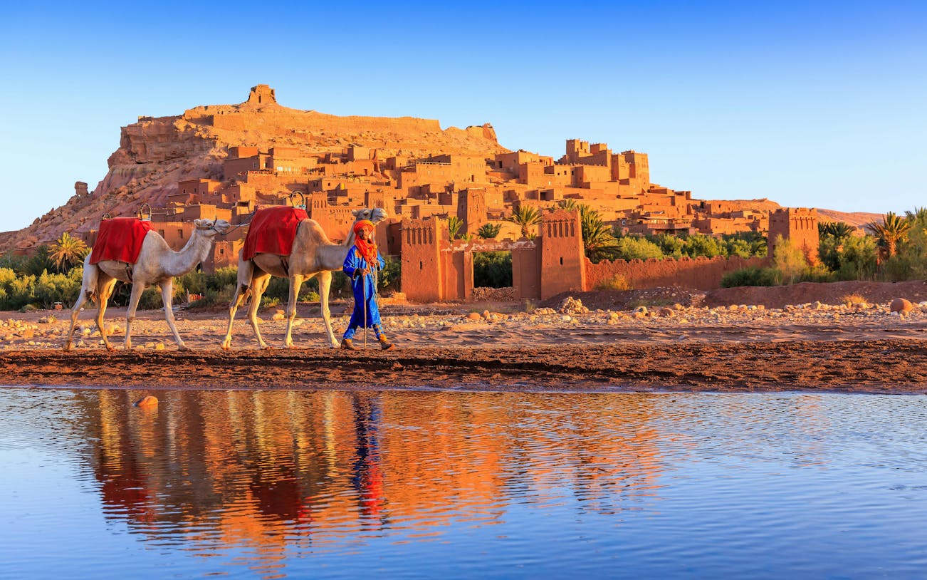 Person leading camels in front of Ait Benhaddou, Morocco.