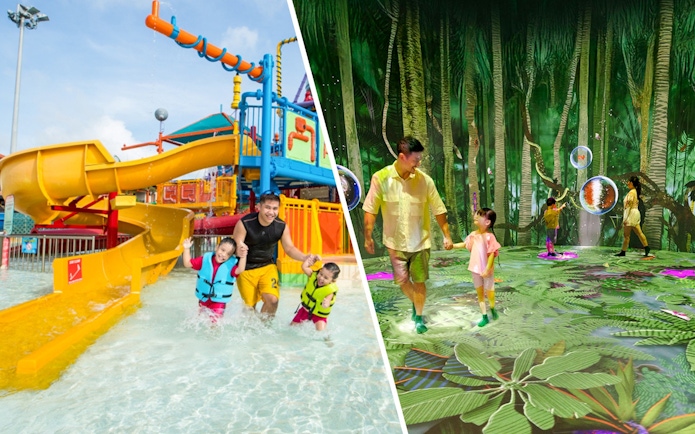 Family enjoying water park slides and exploring a digital forest canopy experience.