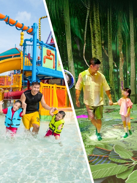 Family enjoying water park slides and exploring a digital forest canopy experience.