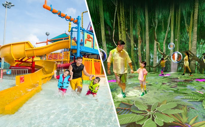 Family enjoying water park slides and exploring a digital forest canopy experience.