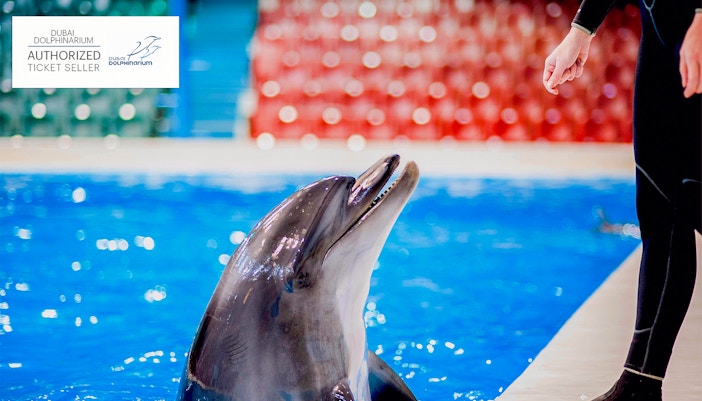 Dubai in Summer- Top Things to do in Dubai