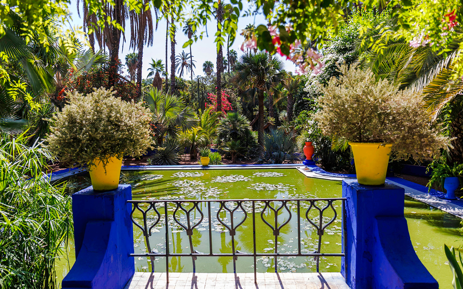 Jardin Majorelle pond surrounded by lush greenery and vibrant potted plants in Marrakech.