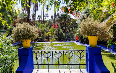 Jardin Majorelle pond surrounded by lush greenery and vibrant potted plants in Marrakech.
