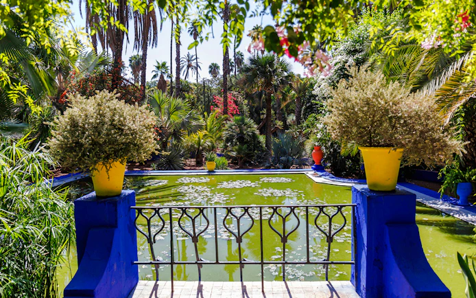 Jardin Majorelle pond surrounded by lush greenery and vibrant potted plants in Marrakech.